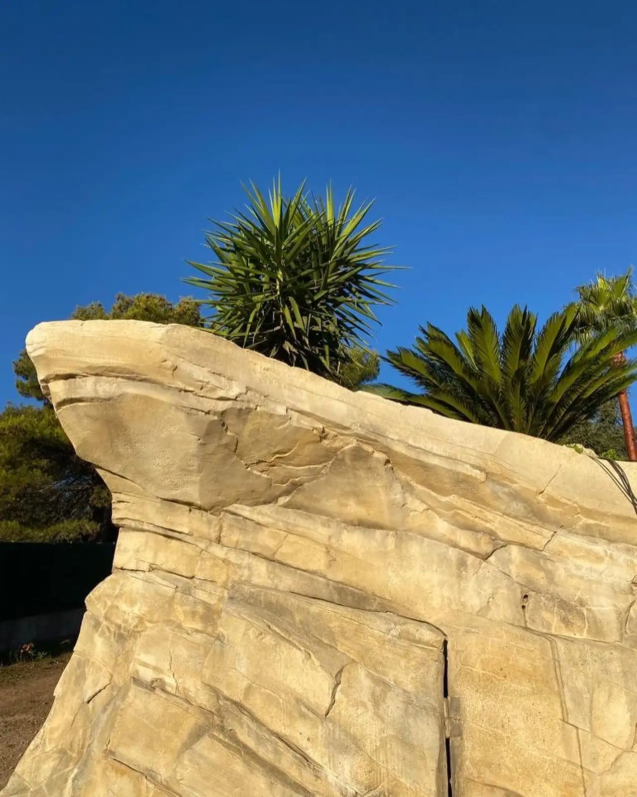 pscine thématisées monaco