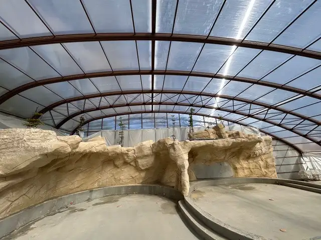 Lorem ipsum dolor sit amet consectetur adipiscing elit